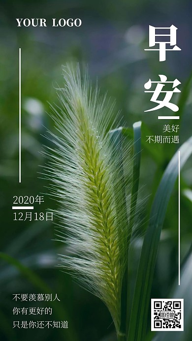小清新早安简约绿色摄影图日签