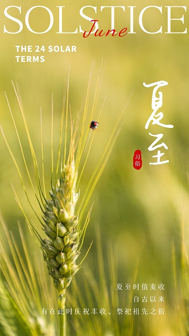 夏至夏至节气习俗麦子丰收摄影图海报