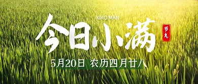 绿色简约今日小满节气公众号封面