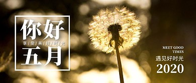 简约摄影风蒲公英五月你好公众号封面首图