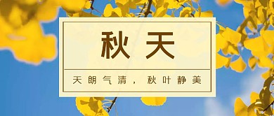秋叶秋天天蓝叶美公众号封面首图