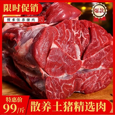 促销猪肉优惠淘宝主图