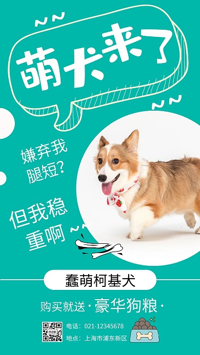 青色摄影图简约宠物犬品种手机海报