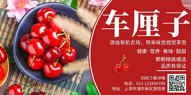 简约大气红色车厘子水果横版海报