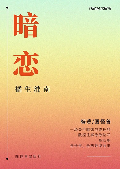 暗恋简约小说言情印刷书籍封面