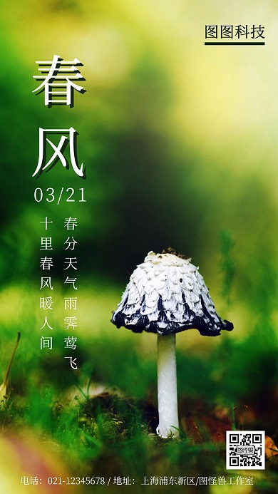 春分二十四节气实景宣传海报