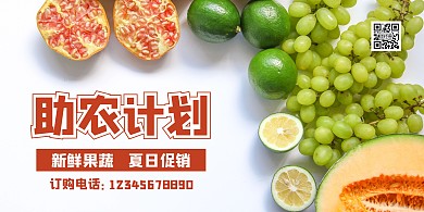 助农计划摄影风水果简约横版海报