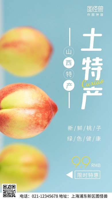 摄影图山西土特产青色简约风手机海报