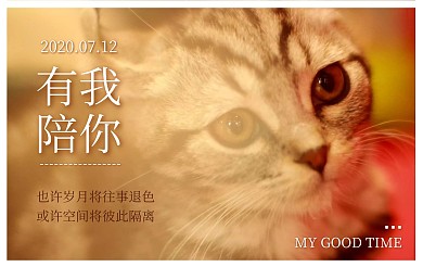 简约可爱萌宠猫咪祝福明信片