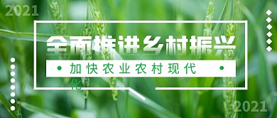 全面推进乡村振兴摄影公众号封面首图