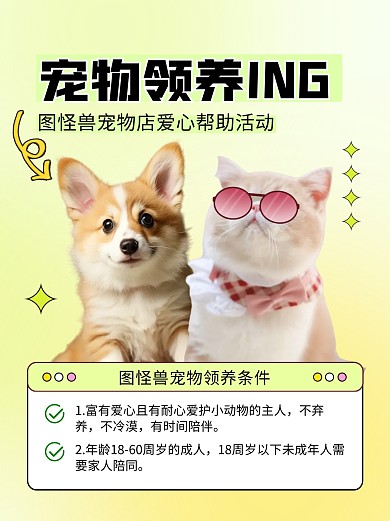宠物店宠物爱心领养活动小红书