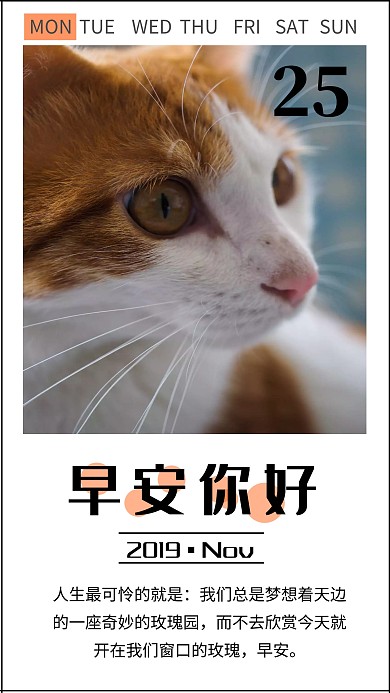 十一月简约励志正能量语录日签