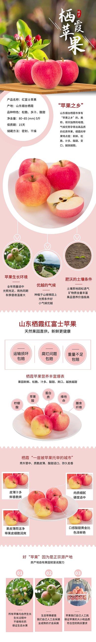 烟台苹果电商精品脆甜栖霞水果简约详情页