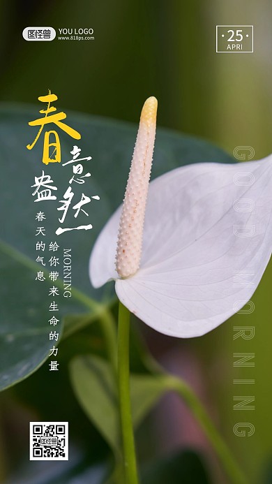 早安春意盎然摄影简约创意日签
