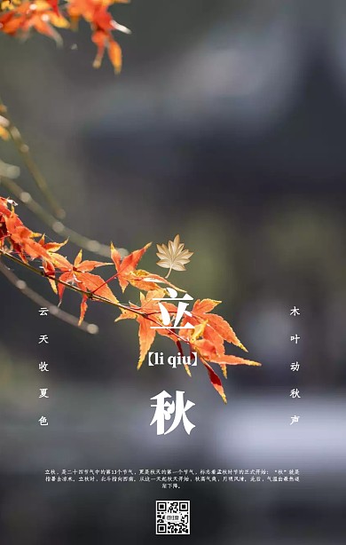 立秋手绘风落叶银杏花宣传海报