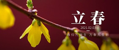 创意摄影花朵立春节气公众号首图