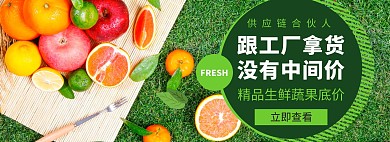 生鲜果蔬供应链轮播绿色电商banner