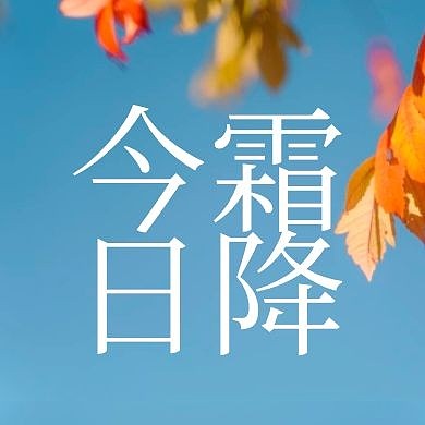 霜降节气祝福摄影风公众号封面次图