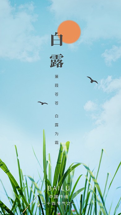 白露节气大气简约摄影图海报