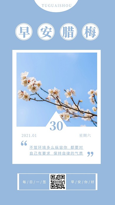 早安腊梅蓝色你好简约风日签