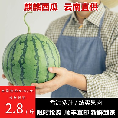 西瓜促销活动创意主图直通车夏季上新