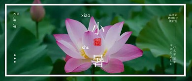 7.8小暑荷叶遮罩绿色清新公众号封面