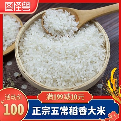 大米红色简约时尚主图直通车