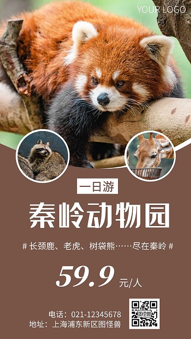 简约风秦岭动物园一日游宣传手机海报