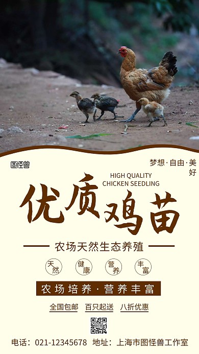 简约浅色背景鸡苗营销海报