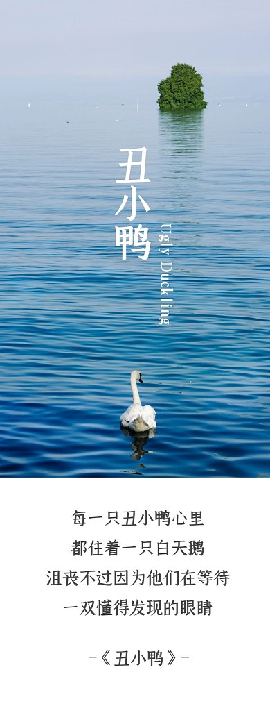 文艺清新简约简洁丑小鸭摄影图书签