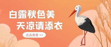 简约插画白露传统节气公众号封面