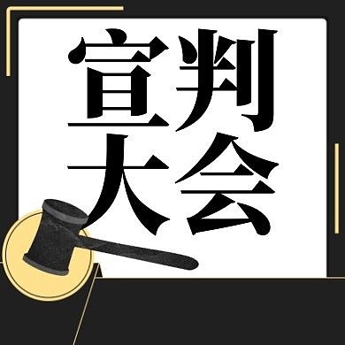 宣判大会黑色法槌法律简约公众号次图