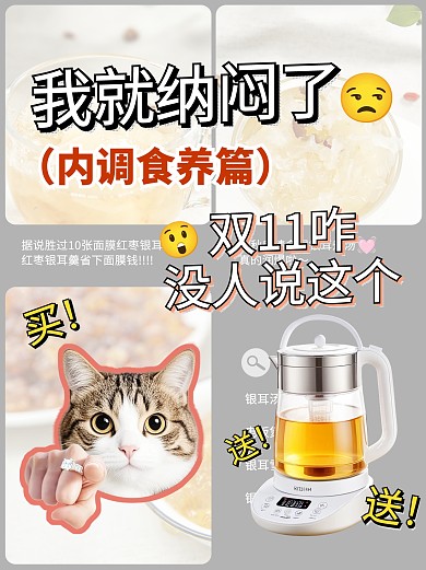 双十一内调养生种草攻略小红书封面