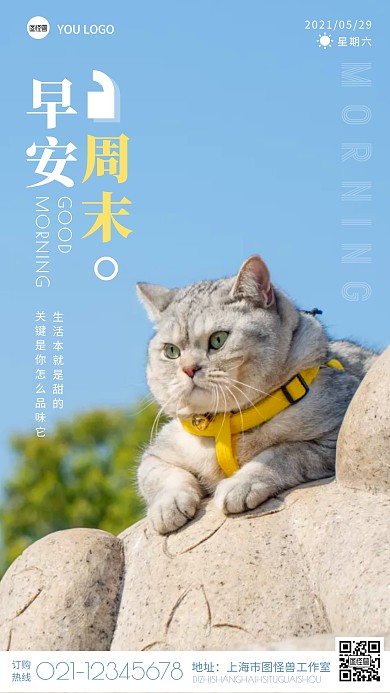 蓝色简约摄影猫咪宠物周末早安带天气日签