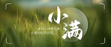 小满麦穗节气公众号首图