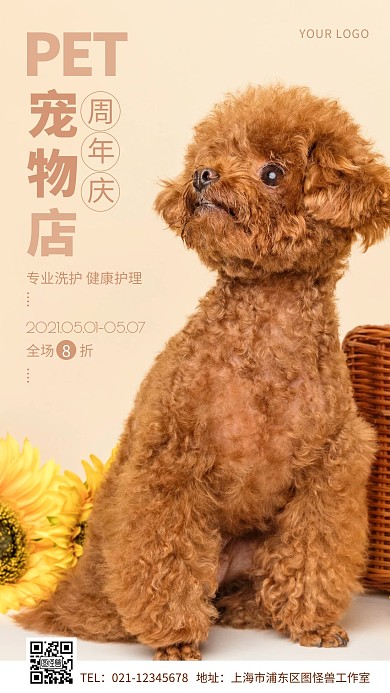 宠物店周年庆简约摄影图手机营销海报