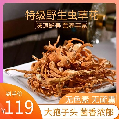 中药材淘宝主图食品养生虫草花渐变直通车