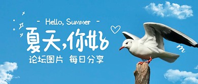 论坛图片微信封面夏天图片分享公众号首图