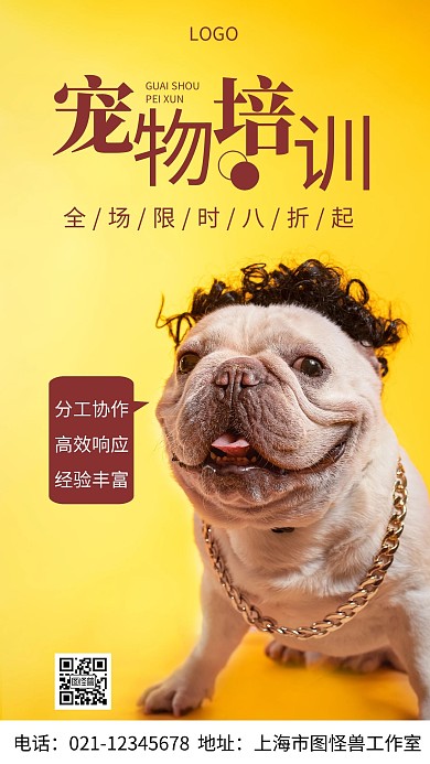 摄影图宠物培训红色简约风手机海报