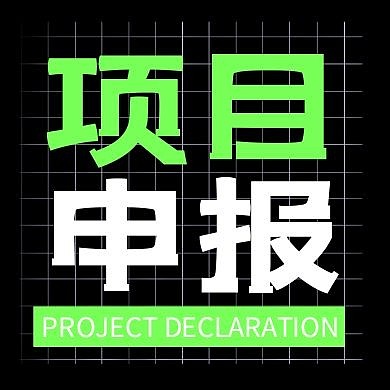 创意格子黑绿色项目申报公众号次图
