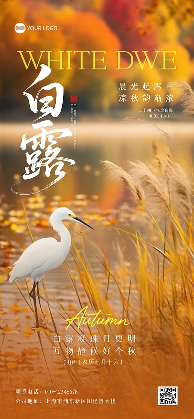 二十四节气白露白鹭摄影图全屏海报
