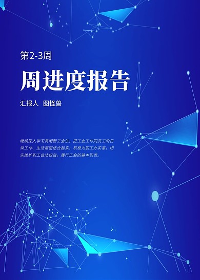 周进度报告 