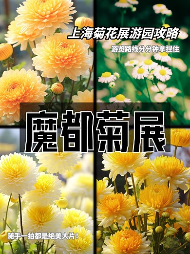上海菊花展览效果模板