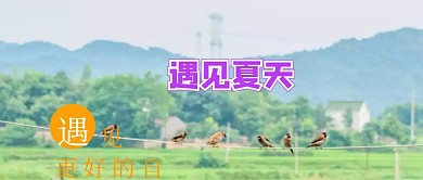 夏天你好公众号封面