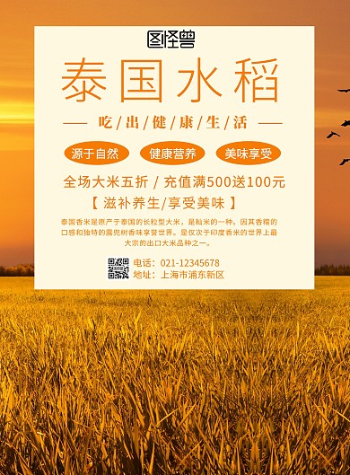 泰国水稻	大米海报