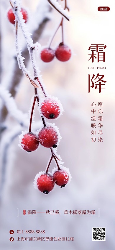 霜降节气问候祝福摄影风AIGC全屏海报