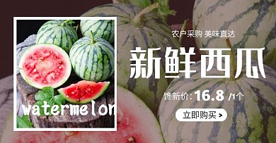 摄影简约夏季上新西瓜水果淘宝电商横版海报
