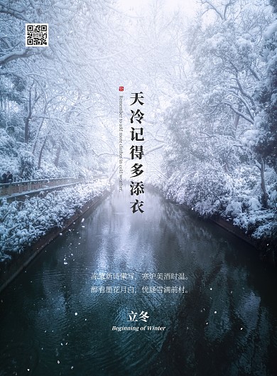 摄影风简约立冬节气问候祝福竖版海报