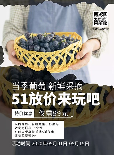 简约大气摄影风葡萄采摘宣传海报	
