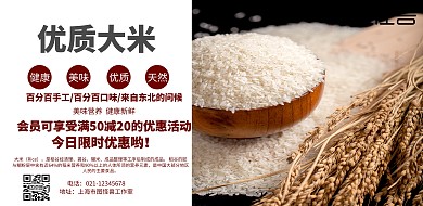 优质大米促销简约印刷海报